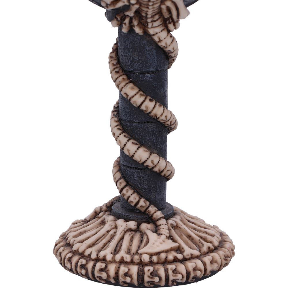 Dragon Remains Goblet 19cm