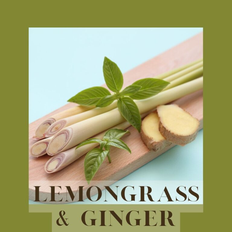 Lemongrass and Ginger Scented Candle