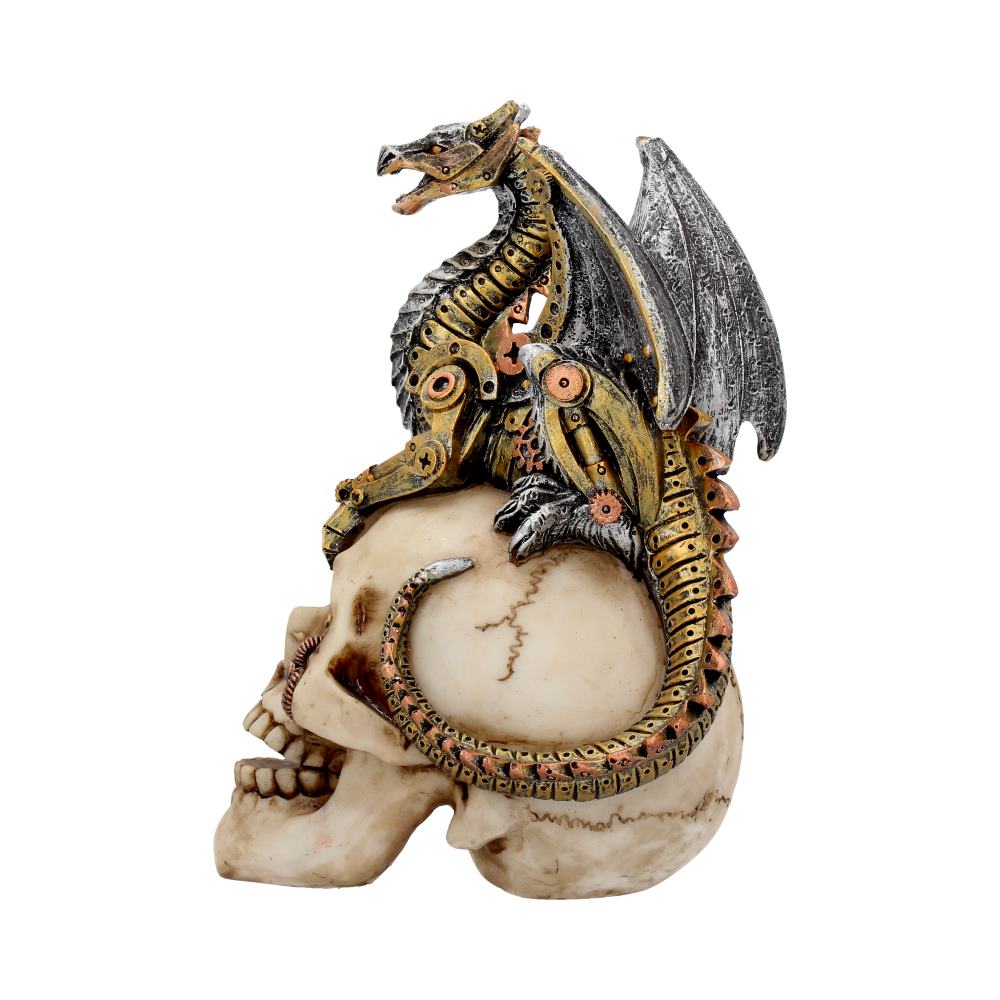 Dragon Grasp Skull 18.5cm