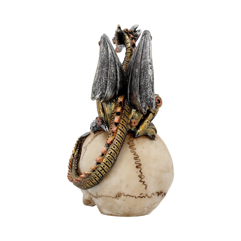 Dragon Grasp Skull 18.5cm