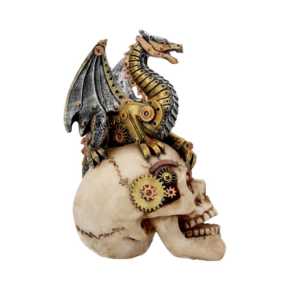 Dragon Grasp Skull 18.5cm