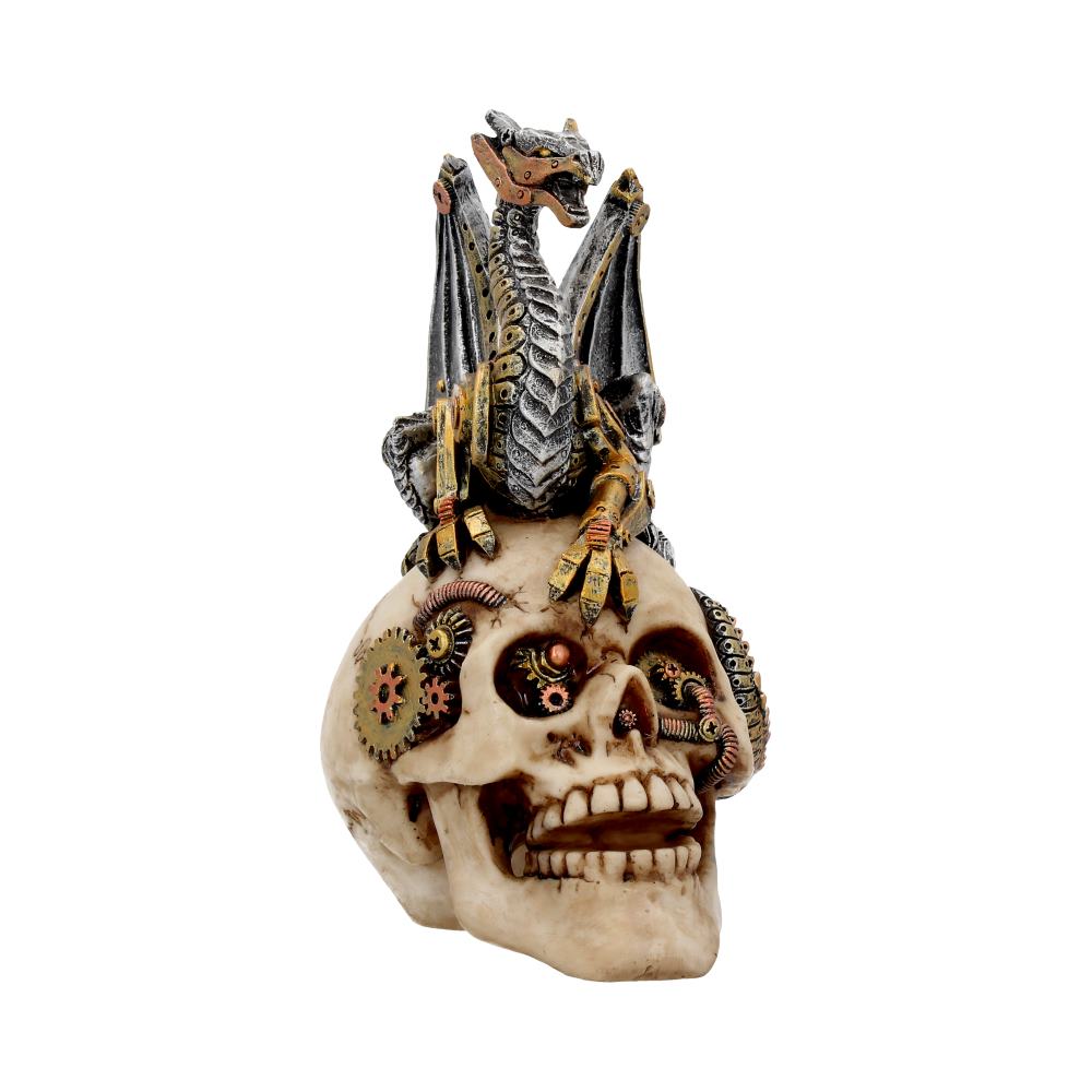 Dragon Grasp Skull 18.5cm