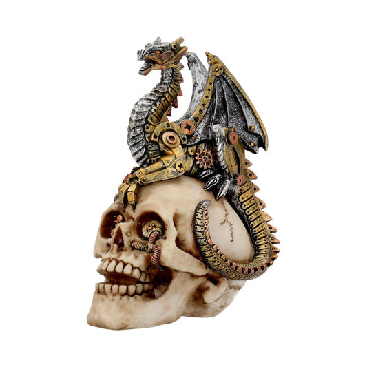 Dragon Grasp Skull 18.5cm