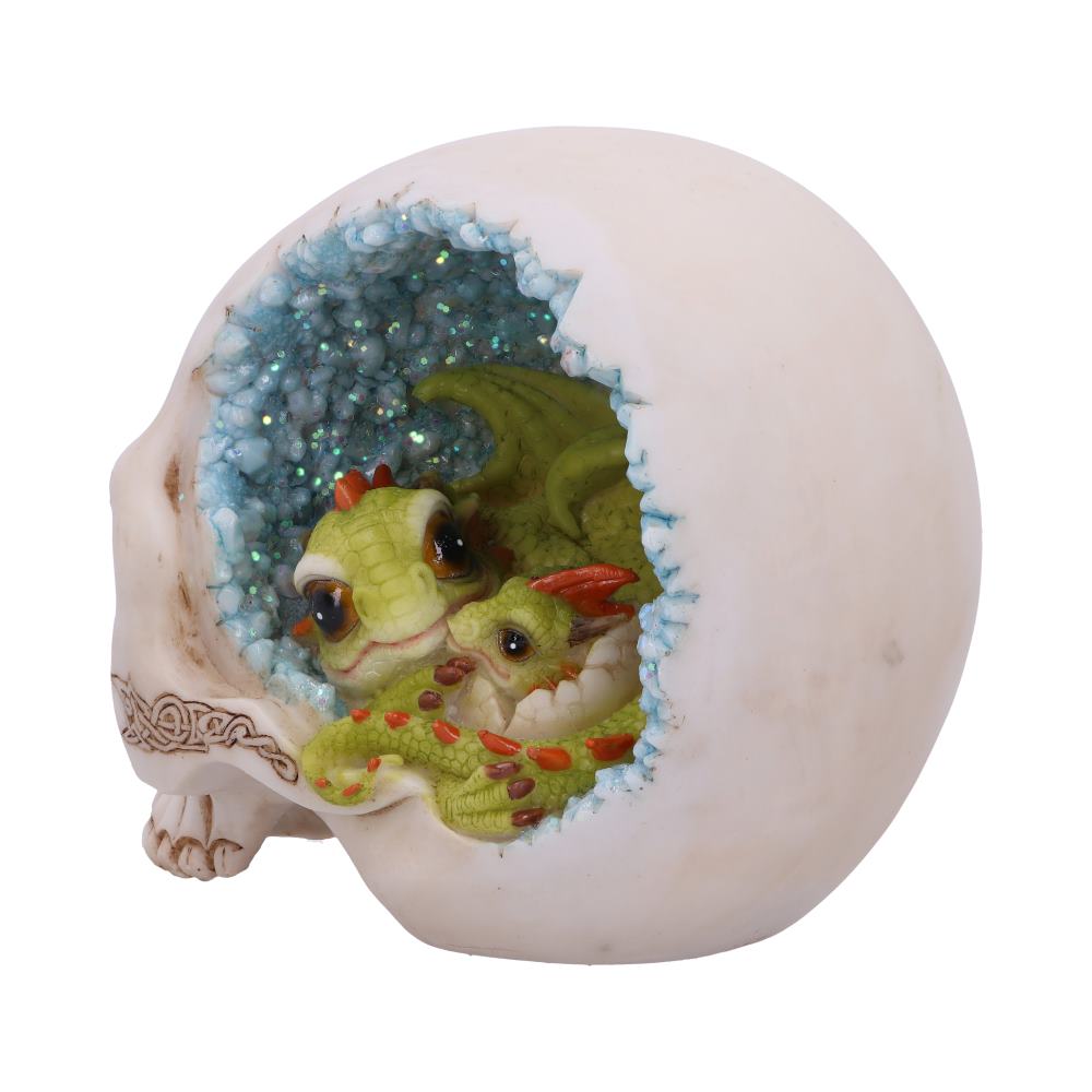 Celtic Cave Skull 15cm