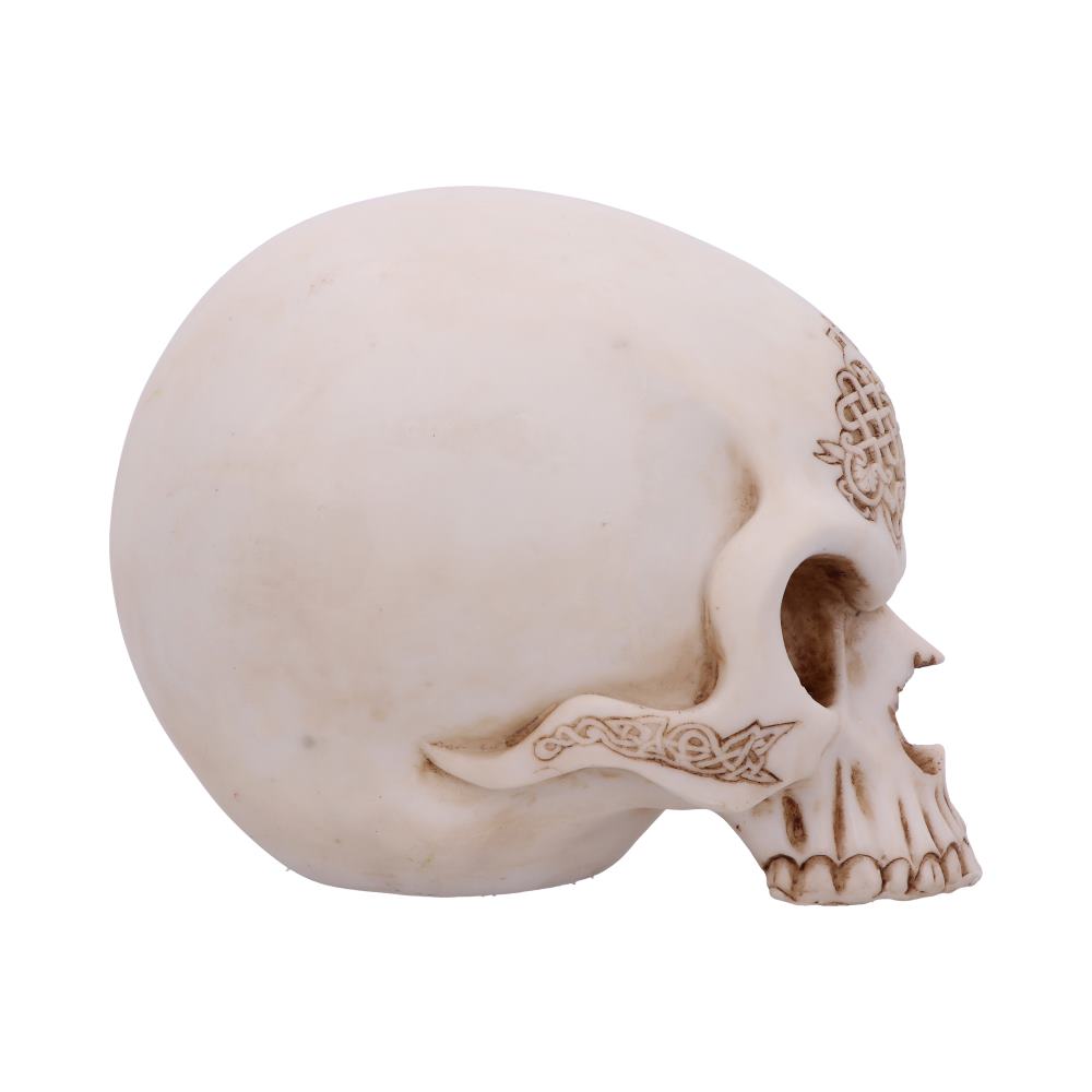 Celtic Cave Skull 15cm