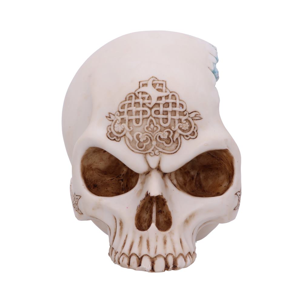 Celtic Cave Skull 15cm