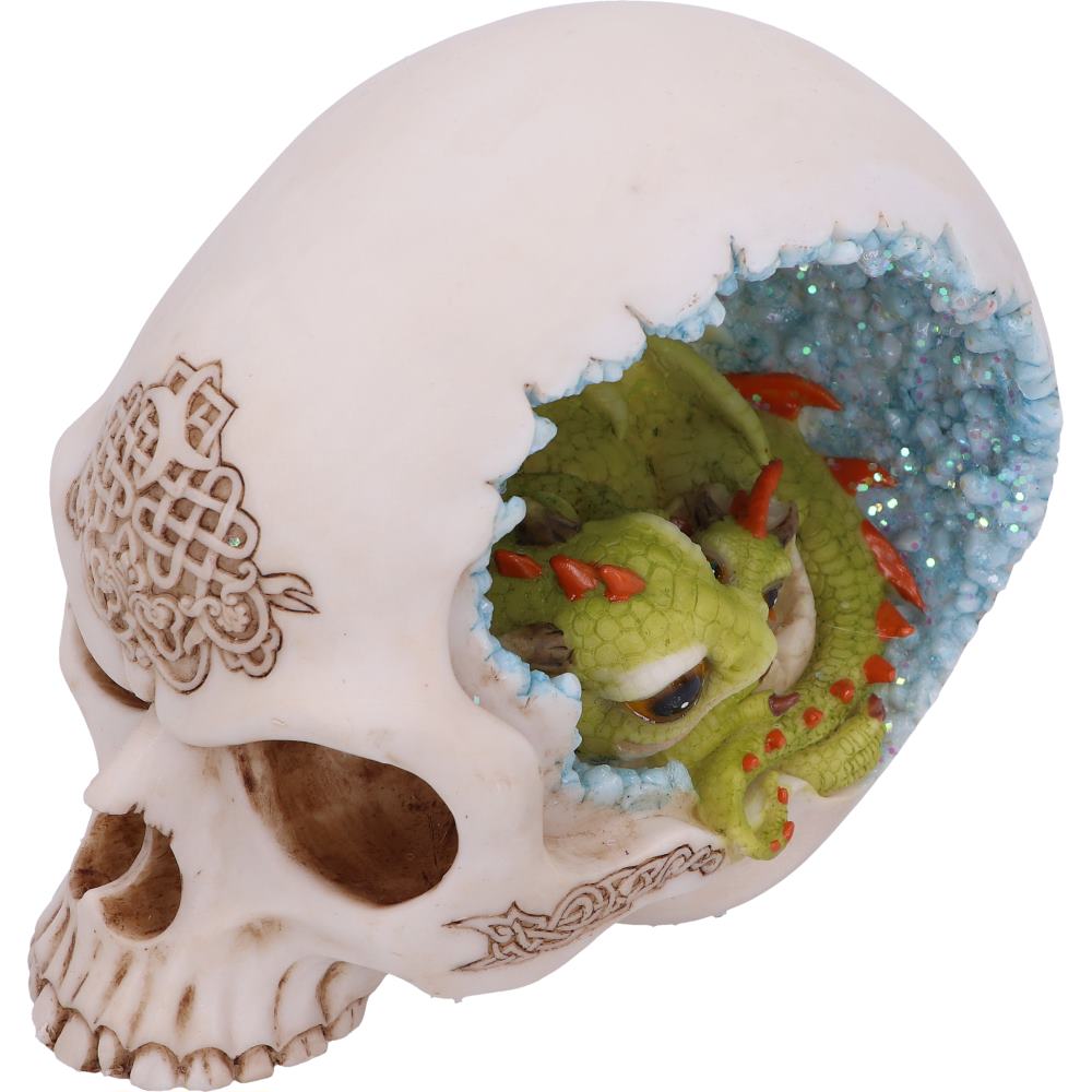 Celtic Cave Skull 15cm
