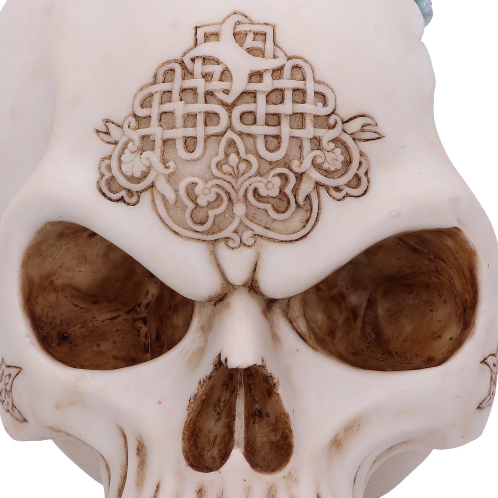 Celtic Cave Skull 15cm